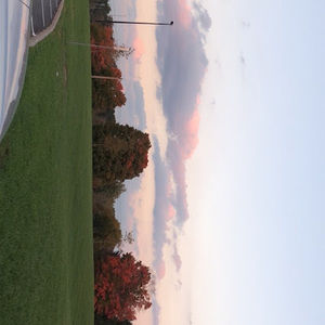 Meet your Posher, I want a hippopotamus